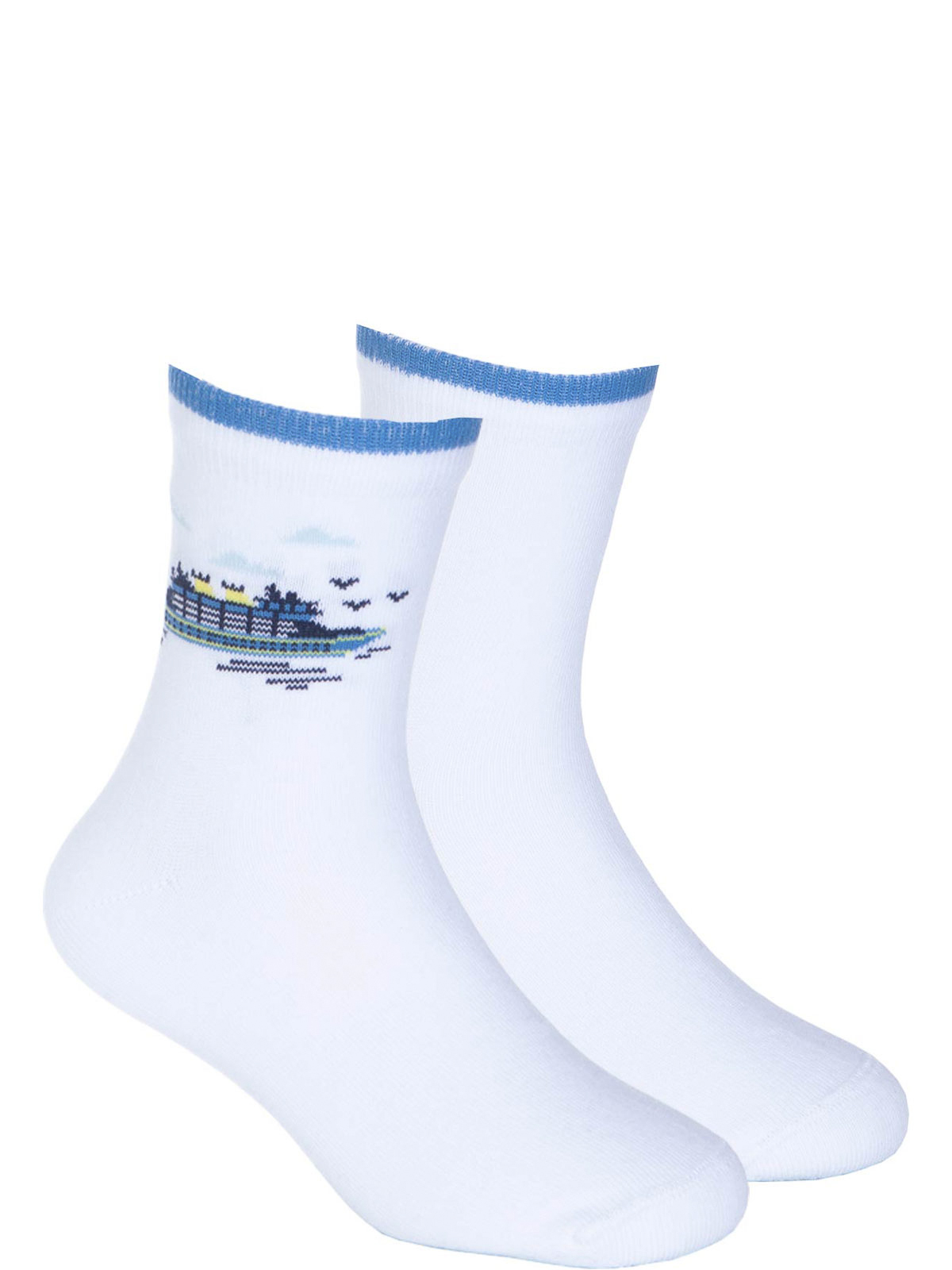 Носки артикул:CKBAS04-WM-2