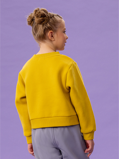 Свитшот артикул:OKGCJ13-Y2-2