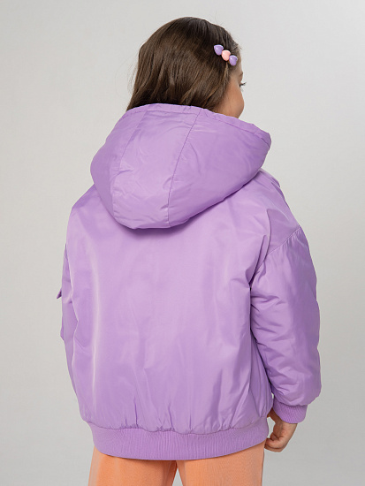 Куртка демисезонная артикул:PKGCK06-V1-3